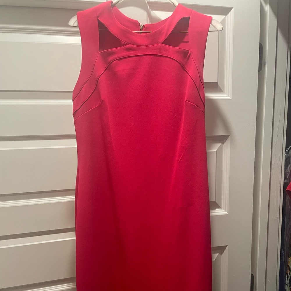 Calvin Klein Hot Pink Dress